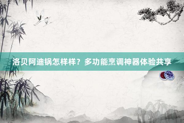 洛贝阿迪锅怎样样？多功能烹调神器体验共享